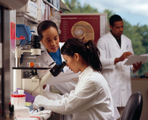 researchers