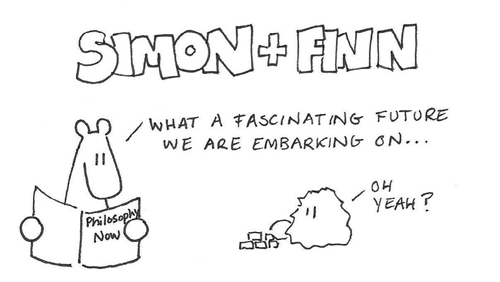 Simon & Finn 1