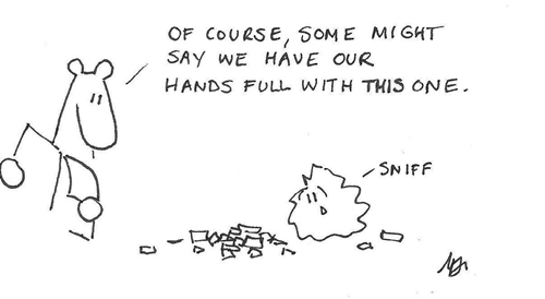 Simon & Finn 5